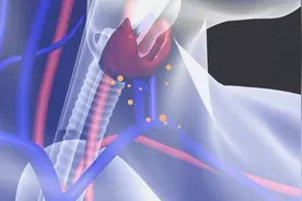 甲亢会遗传吗？其实很多人对此存在疑虑