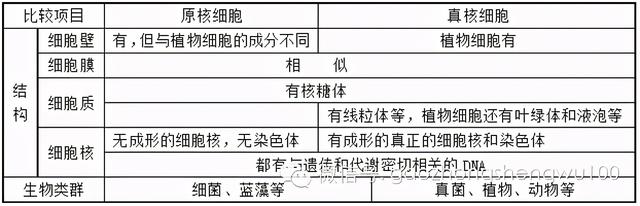 高中生物：易错易混知识点对比，搞懂别再错啦