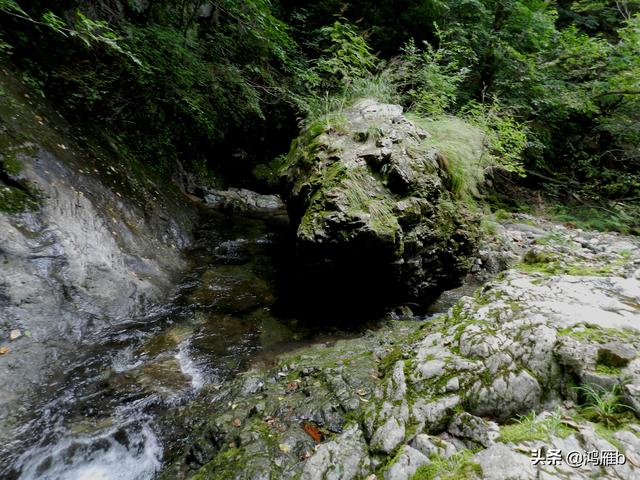 重走抗联路——本溪关门山森林公园鸣翠谷景区抗联秘营