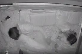 宝宝一声咳嗽熟睡宝爸立刻弹起，先哄娃再哄妻，这是什么神仙老公图片