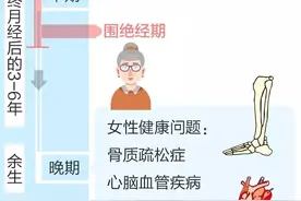 医学图解——女性生殖衰老全程（生育期、 绝经过渡期、绝经后期）图片