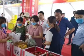 注意！即日起，漯河市投放近6亿元消费券，领取方式如下图片