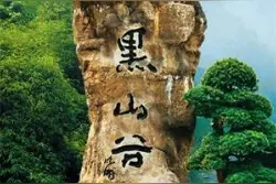 老黑山万亩方竹笋出笋了，你准备好去采摘了吗？图片