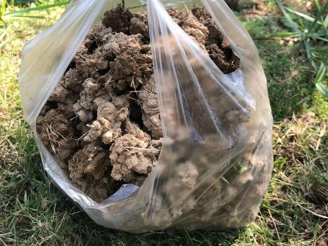 养分含量超高的营养土，自己在家也能做，省下一大笔 买花钱