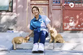 她在故宫8年，拍下宫猫江湖，揭开600年故宫往事，引网友惊叹图片