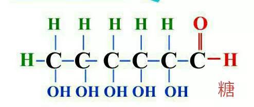 《宇宙的秘密全部揭开（二十四）分子生物学》