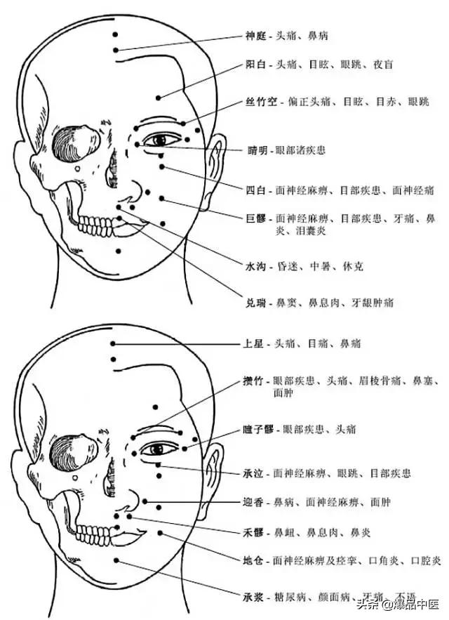人体的经络图解大全,3d版经络图(精美,绝版,快收藏) - 天突哪个部位
