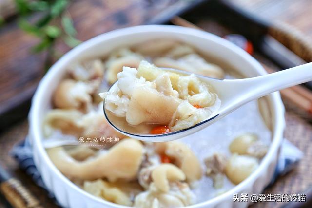 干鱼肚煲汤的做法大全 干鱼肚煲汤的做法大全窍门 干鱼肚煲汤的做法大全 干鱼肚煲汤的做法大全窍门