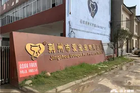 湖北荆州一个省级贫困村的传奇！日产宠物猫砂30万斤出口十几个国家图片