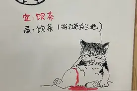 全员养猫的游戏公司，会做出怎样的游戏？图片