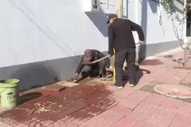 鹿泉这里，解锁“向往的生活”图片