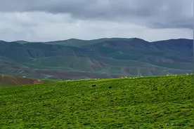 草原保护|退化草地：长期跟踪评估才能深入认识生态恢复作用图片