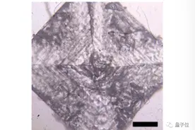 科学家们竟用乐高观察细胞，网友：万万没想到啊图片