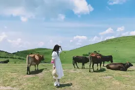 湖南还有这么多草原？作为湖南人的你竟然一个都没去过图片