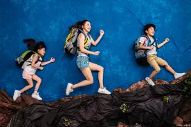 全红婵奥运夺冠，教练却说，她不是一个天才图片