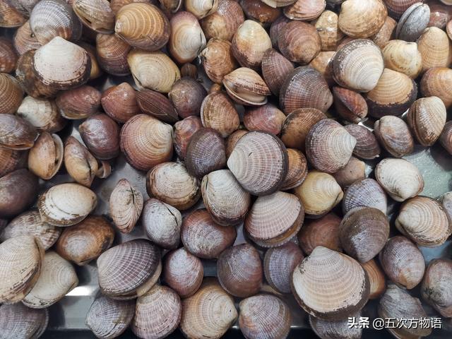 六耳赤嘴鱼胶有收藏价值吗 2026年六耳赤嘴鱼胶的功效和作用