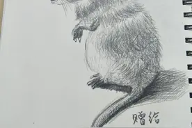 小老鼠寻妻记图片