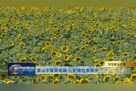 发现家乡之美——青山水库美如画 心旷神怡享其中图片