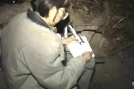 豆瓣9.5，野性打码，这片我敢说BBC都拍不出来图片