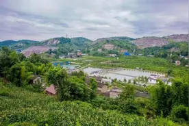 美了美了！沙坪坝这8个村上榜“重庆市美丽宜居乡村”!图片