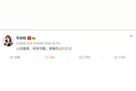 “佟丽娅和陈思诚离婚”揭露的婚姻真相：太卑微的爱情，很难善终图片