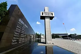 南京保卫战期间，被俘虏的士兵为何不反抗？抗日老兵含泪说出实情图片