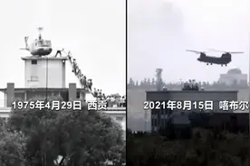 央视电影频道播放《一条狗的回家路》，美媒：中国故意的图片