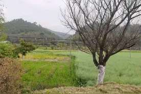 鬼哥的五万里D177 骑记：越来粤好（南雄市-赣州市）图片