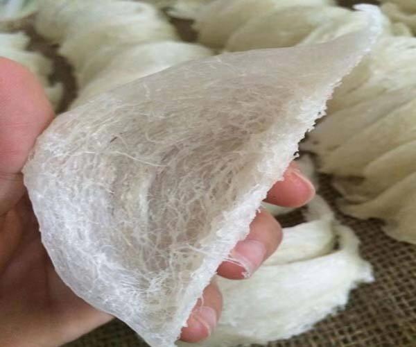 燕窝规格怎么区分 2026年燕窝规格怎么区分的