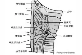 吞咽障碍中医康复精选“穴位”与作用图片