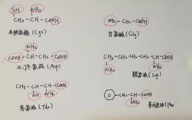 厨房里，盐到底该如何使用？很多人都不知道