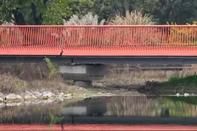 成都市中优“十四五”规划出炉！两大城市主中心曝光→图片