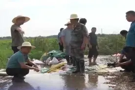 吴晓波督导屈原管理区处险工作图片