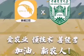 猫咪有了“黑下巴”，主人要小心啦！图片
