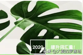 词汇量提升实操指南图片