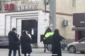 骑马“侠客”走新区，眉山天府交警紧急叫停！图片