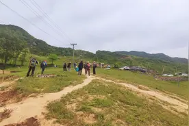 秦岭这个小山村为什么这么火爆？山路险要，高山草甸，牛羊成群图片