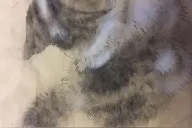 萌萌哒的小猫咪，十来岁的女孩子画的。图片