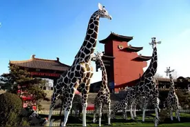 是什么原因让太原动物园上了热搜？图片