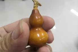 我盘葫芦这些年图片