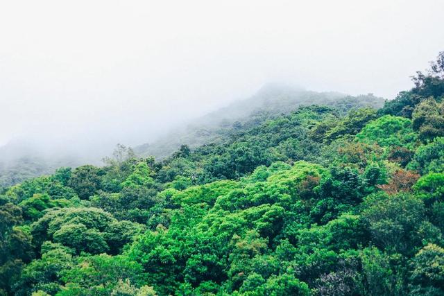深圳值得征服的10座山，你去过几座？