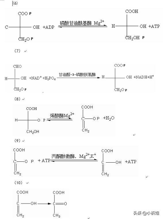 最古老的的化学——酿酒工艺