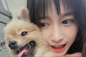 台湾美女模特Faye羽菲合辑一图片