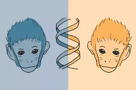 设计生命：合成生物学的安全风险与伦理挑战图片