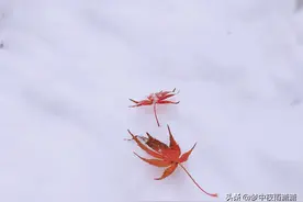 天命不可违，双鱼座图片