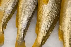 曝光宁波必吃海鲜店，20年前就是传奇了图片