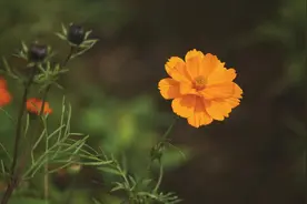 和别人“同居过”的女生更值得爱图片