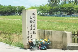 三亚各界人士自发前往湖南杂交水稻研究中心海南基地哀悼袁老图片