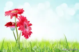 每逢佳节倍思亲，中秋佳节日，祝愿天下有缘人图片
