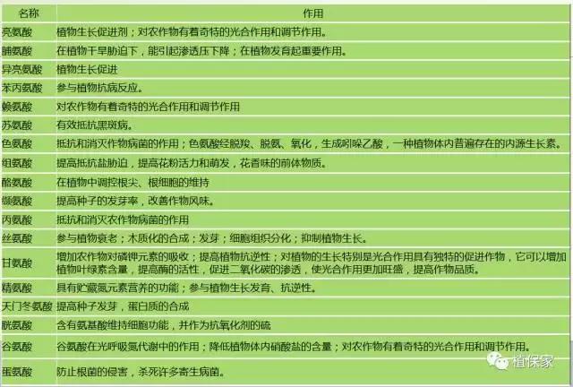 你所不知道的氨基酸